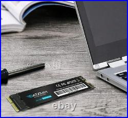 DATARAM 1TB M. 2 M-Key PCIe NVMe SSD FOR 2013-15 Apple MacBook Pro, Macbook Air