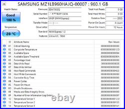 Samsung PM983 960GB NVMe M. 2 22110 Enterprise SSD 100% Health Open Box